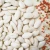 Import Snow white pumpkin seeds export Inner Mongolia factory supply from China