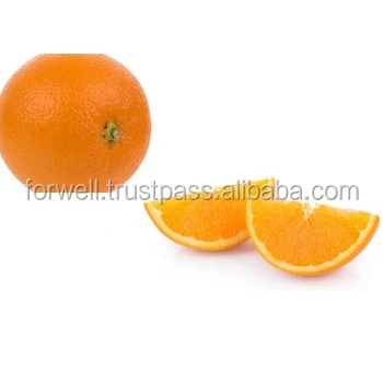 super quality citrus fruit / EGYPT