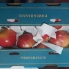 suppliers of egyptian pomegranate