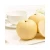 Import Supply Chinese Fresh Pear Fruits Snow Asian Pear Super Pear from China