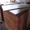Supply Poplar hardwood combi core brown 15mm 18mm canada film faced plywood malaysia