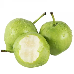 Sweet juicy delicious fresh pears fruit green pear fresh for sale in bulk
