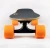 Import SYL-03 Fish Board Electric Skateboard Skate Board Electric from China