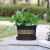 Import Thickening PP resin round flower pot 1/2/3/5 gallons basin plastic flower pots from China