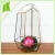 Import Tiny Terrarium Accessory - Stained Glass Decor * interior home decorative partitions ^ crystal glass home goods decorative vase from China