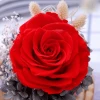 UCHOME Wholesale Natural Long Lasting Flower Dried Glass Cover Preserved Roses