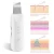 Import Ultra Sonic Skin Scrubber Facial Skin Exfoliator Facial Lifting Tool Pore Cleaner Removal Kit from China