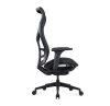 VATON Premium Ergonomic Design Executive Mesh Chair with Seat Slider and Adjustable Arm Rest