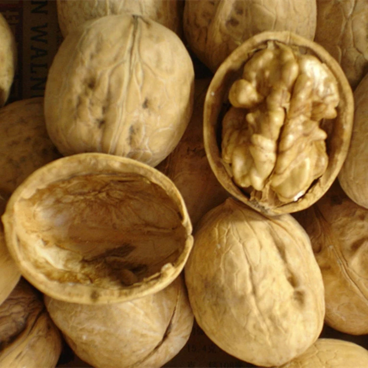 walnuts chandler ukrain walnut without shell