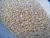 Import White sesame seed from India