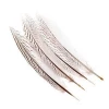 Wholesale beautiful artificial Sliver Pheasant Feather for sale