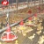 Import Wholesale China supplier small farm equipment chicken feeders and drinkers pig nipple drinker 1-2days to ship with factory price from China