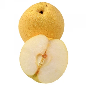 wholesale Chinese fresh fruit golden Crown pear  price
