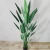 Import Wholesale custom home office decoration artificial banana palm tree from China