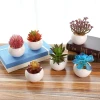 Wholesale Cute Small Artifical Succulent Plants With Ceramic Pot