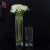 Import Wholesale Factory Beautiful Clear Cylinder Glass Vase For Christmas Decor 9*10cm from China