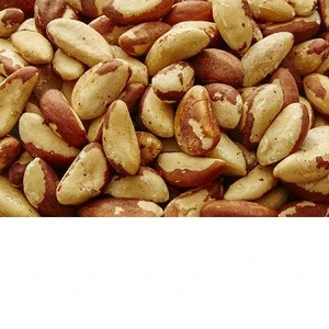 Wholesale Price Organic Raw Brazil Nuts Price for sale