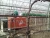 Import Yongsheng greenhouse/poultry house gas/oil/coal burning stove/hot air heater from China