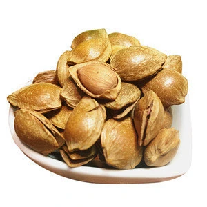 Yummy nuts snack food Apricot Kernels in China for wholesale