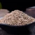 Import Yunnan Chinese Specialty  Cumin Seeds Powder 100% New Harvest High Quality Raw Natural Pure Fresh Barbecue Condiment Spices from China