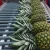 Import Golden Pineapple MD2 from Ecuador