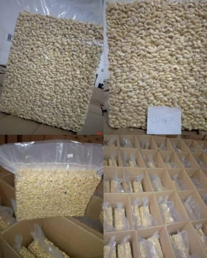 Grade A W320 Cashew Nuts, FREE from Infestation, Insect Damage