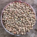 Nutritious Dried Brown Lentils Bulk Wholesale Protein 26% Natural Food Brown Lentils Clean Export Stock Supply