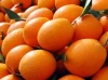 Fresh oranges