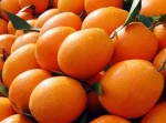Fresh oranges