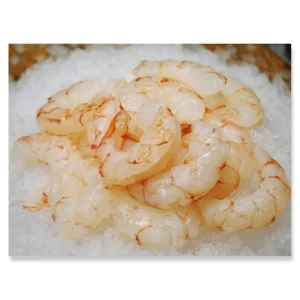 Frozen Fresh Shrimps for Export