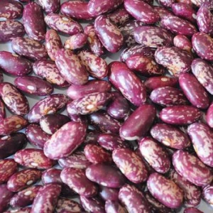 Red speckle kidney beans