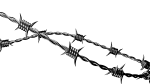 Hot Sale Barbed Wire Premium Quality