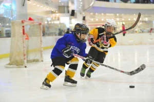 500×500×12mm UHMWPE Sheet Interlocking Synthetic Ice for Home Hockey Rink