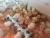 Import Day Old Chicks For Sale from South Africa