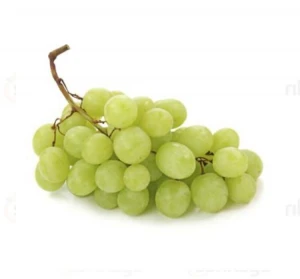 Premium Fresh Grape Turkey Fast Shipping