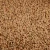 Import Nutritious Dried Brown Lentils Bulk Wholesale Protein 26% Natural Food Brown Lentils Clean Export Stock Supply from South Africa
