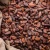 Import Cocoa Beans from Nigeria