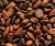 Import Cocoa Beans from Nigeria