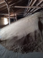 Wheat, Barley, Corn - Kazakhstan orgini