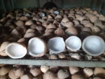 White Copra