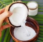 UHT / Canned Coconut Milk