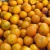 Import fresh orange from South Africa