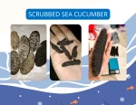 High Quality Natural Sea Cucumber for Health Benefits