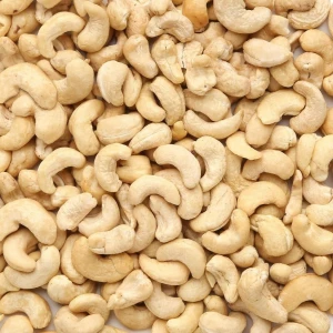 Premium Quality 100% Organic Cashew nut from India