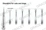 Elevators for Cats and Dogs