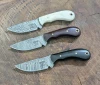 Compact Full Tang Everyday Carry Knife with Ergonomic Grip