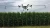 Import 10L 16L 20L UAV Crop Sprayer Agricultural Drone With Automatic from Bahamas