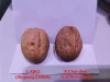 lower price, high quality Chinese Chandler XIN2 inshell walnut