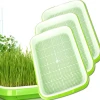 Hydroponic Planting Tray Greenhouse Plastic Seed tray