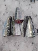 Frozen  HGT sardine